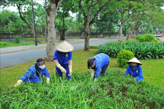 Với môi trường làm việc khắc nghiệt, công nhân cây xanh cần được trang bị đồng phục bảo hộ đầy đủ và đảm bảo